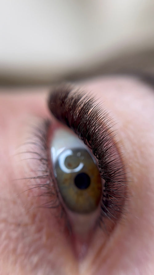Extensions de cils - Café Noir