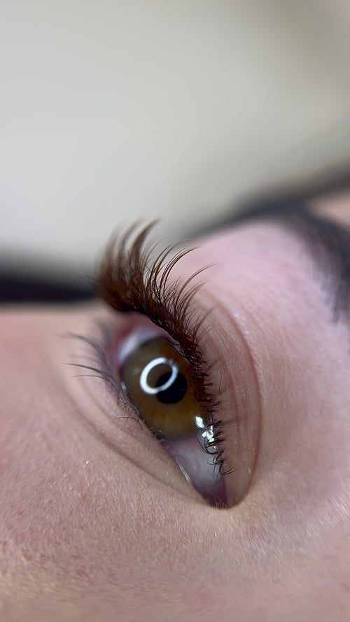 Extensions de cils - Café Latte